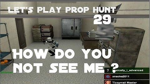 Lets play prophunt 29 how do you not see me ?