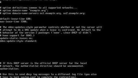 Debian 9.6 install DHCP DNS DDNS