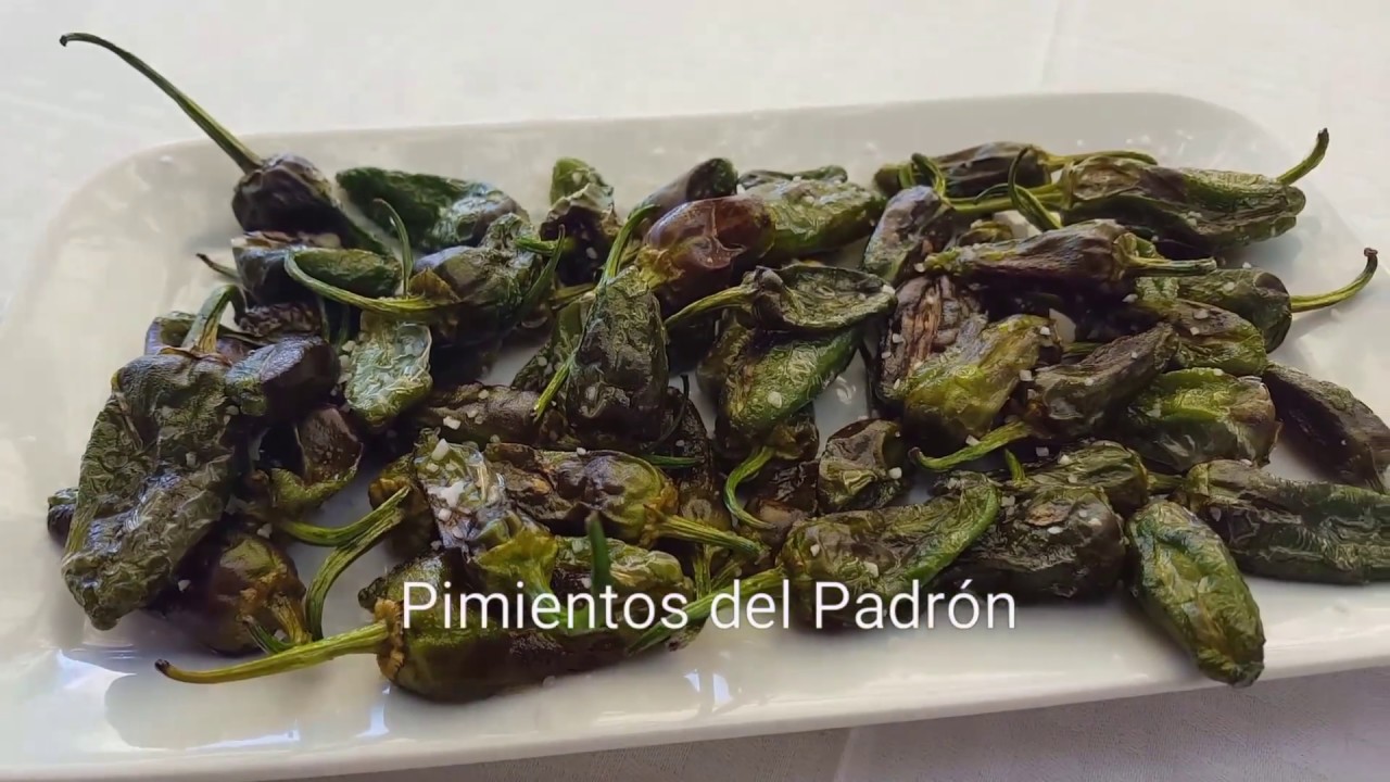 El Puente, entre mariscos y pescados. Un canto a Galicia!