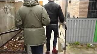 Lion's law - for my clan