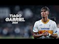 Tiago Gabriel Dominant Defender 2025ᴴᴰ 