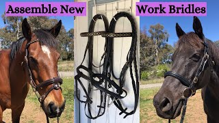 New Bridles for my Horse Assembly | Equestrian Tack Haul | WSS Equestrian
