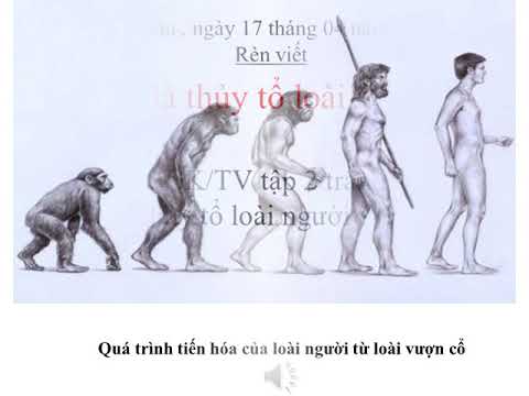 Thứ sáu ngày 17 tháng 04 năm 2020 Chính tả: Rèn viết: Ai là thủy tổ loài người