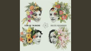 Video thumbnail of "Flor de Toloache - Dulces Recuerdos"
