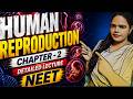 Human Reproduction | Part-2 | Detailed Course 🔥 NEET 2026 Live Revision|  Class 12| BIOLOGY