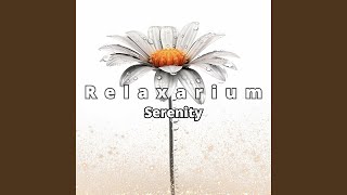 Tranquil Touch