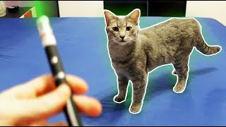 картинка: КОТКАТА ПОЛУДЯ ПО ТОЗИ МОЩЕН ЗЕЛЕН ЛАЗЕР 😹