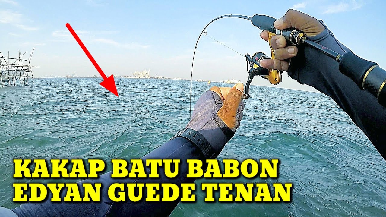 Gak Nyangka Saya Bisa Angkat Kakap Batu Babon Dam Abang