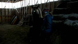Nirvana sitting down on hay bale by lasuria 755 views 14 years ago 53 seconds