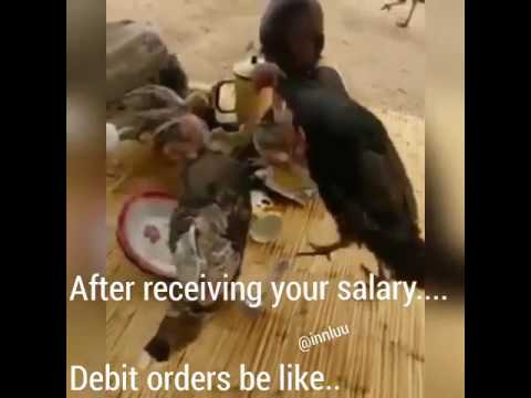 debit orders be like youtube hqdefault debit orders be like youtube