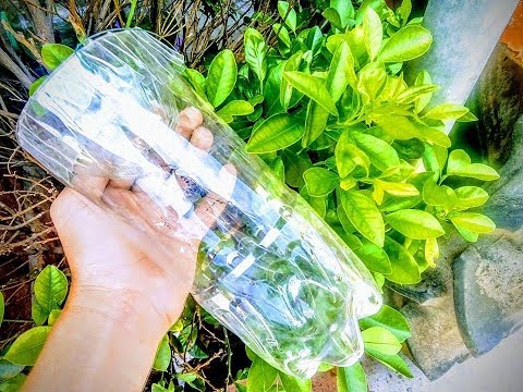 Video Hướng dẫn chế bẫy đa năng (Cá, Tắc Kè, Kỳ Nhông, Rắn... - youtube