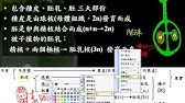 基礎生物2 3 04被子植物的生活史圖一誠 Youtube 基礎生物2 3 04被子植物的生活史圖一誠 Youtube