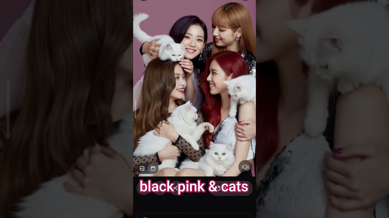 black pink & cats #jakarta #blackpink #indonesia #viral #viralvideos #kpop #song #concert #fypシ #wow