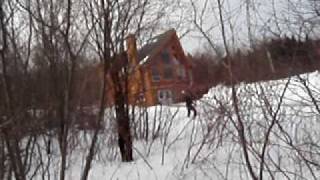 Apple Orchard.AVI