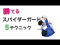 【勝てる】スパイダーガード５つの技