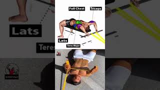 Chest workout with resistance band  4 Effective Exercises