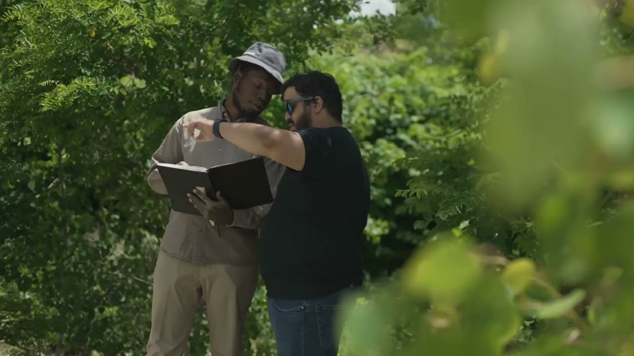 The Elusive Skunk Ape: Florida's Bigfoot 