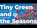 Tiny Green and the Seasons #4: University of Tsukuba|筑波大学