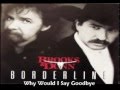 Brooks & Dunn - Why Would I Say Goodbye (1996)