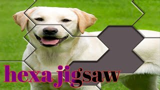 Hexa jigsaw game all levels | game nn screenshot 2
