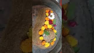 सोळा सोमवार व्रत उद्यापन #somwarvrat #harharmahadev #shortsfeed #omnamahshivaya  #shortvideo #shorts