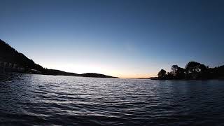 Daisies B Lewis North Bay Time Lapse