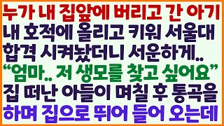 (신청사연) 누가 내 집앞 버리고 간 아기 호적에 올리고 키워 서울대 합격 시켰더니 서운하게 생모를 찾고 싶다더니 며칠 후 통곡하는데/감동사연/사이다사연/라디오드라마/사연라디오