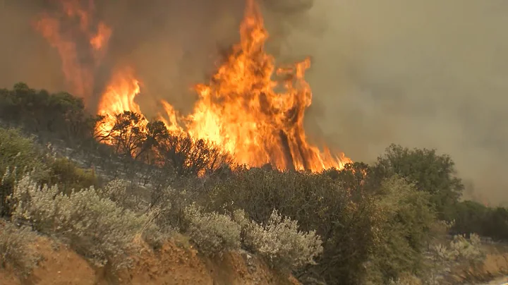 Wildfire Smoke Found To Be Dangerous To Human Health