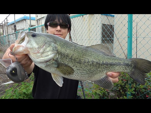12時でもヴリトラで連発させてしまう渥美。 - YouTube
