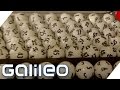 Das Glücksspielexperiment | Galileo | ProSieben