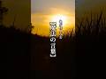 心が軽くなる【魔法の言葉】5 #言葉 #心に響く言葉 ##心に残る言葉 #魔法の言葉