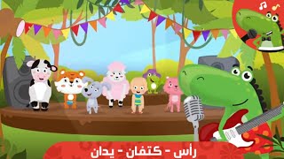 HapeeCapee - هابي كابي| رأس كتفان يدان قدمان