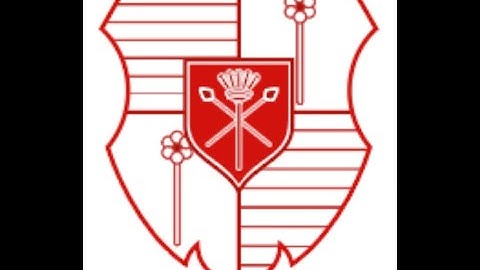 SATOSHI MOBILE BUSINESS OVERVIEW