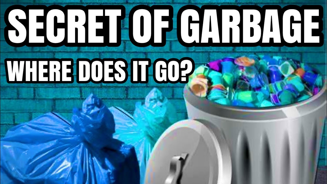 Unveiling the Hidden Journey of Your Trash: What Really Happens to ...