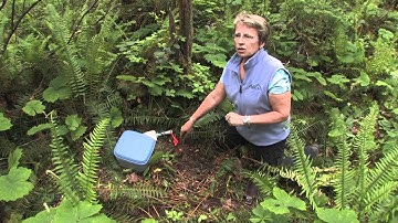 It is Alive - Soil Faunal Sample Collection