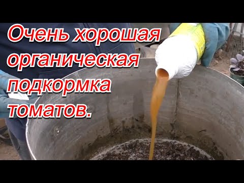 Органическая подкормка томатов для быстрого роста и налива плодов.