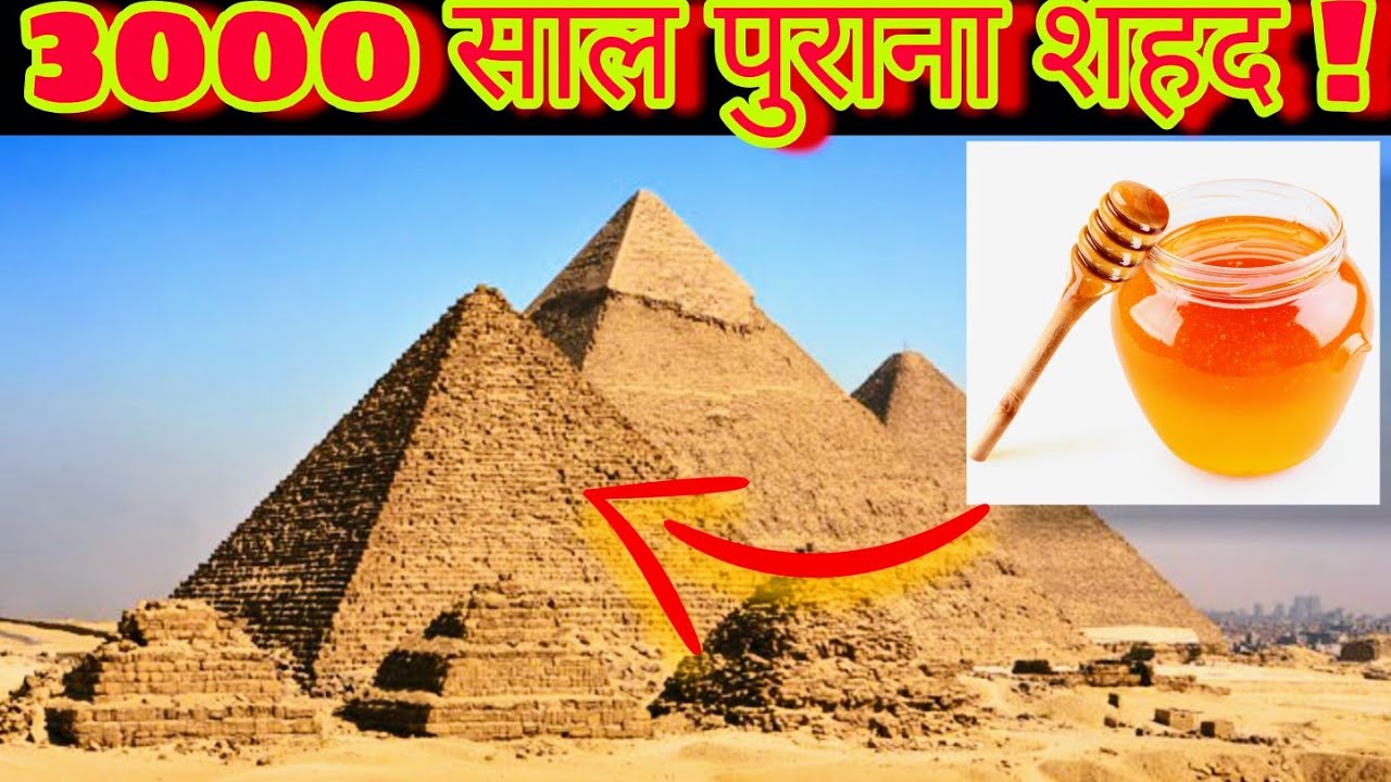 पिरामिड के अंदर शहद। Oldest Honey In The World Honey Under The