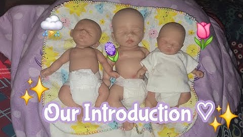 ❤️✨️Reborn Channel Introduction! | SageysReborns✨️❤️