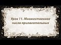 Французский язык. Урок 11.  Множественное число прилагательных