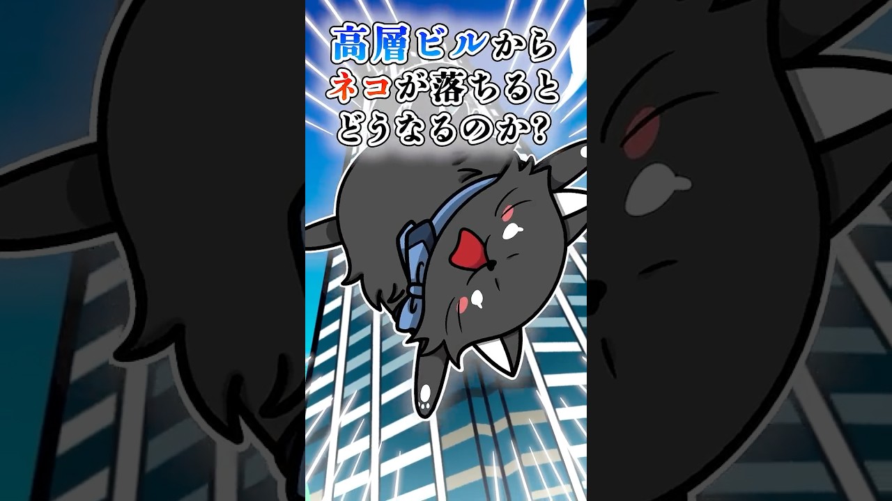高層ビルからネコが落ちるとどうなるのか?#テイペン #plottアニメ