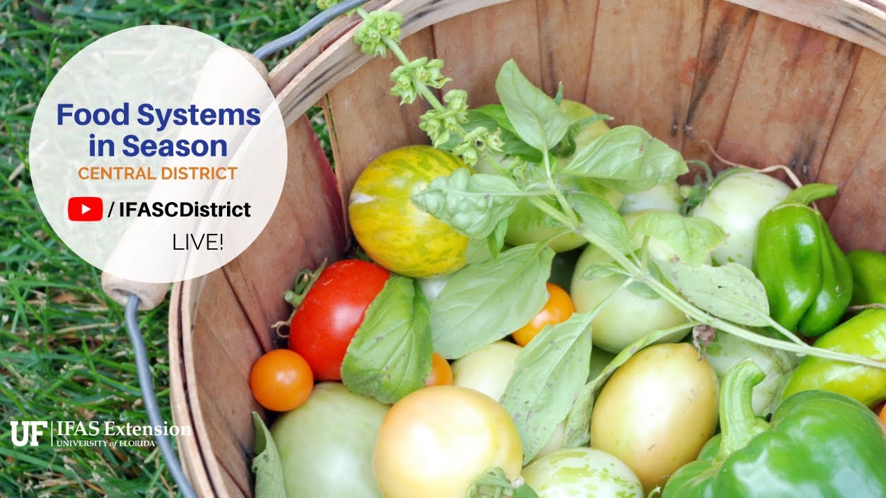 Food Systems in Season: Spring Vegetable Gardening - YouTube