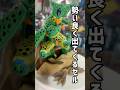 変な飾り方を唐突に思い付く奴 #dragonball #ドラゴンボール #shorts #short
