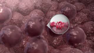 Nordic Nanovector - Betalutin® mechanism of action