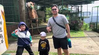 Zoori Tatay Jan 3, 2026