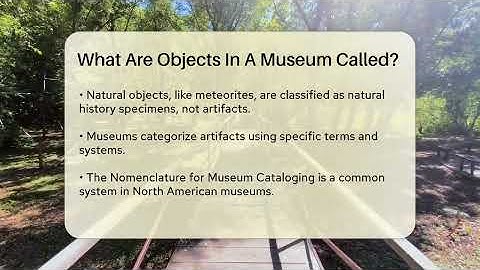 What Are Objects In A Museum Called? - Inside Museum Walls