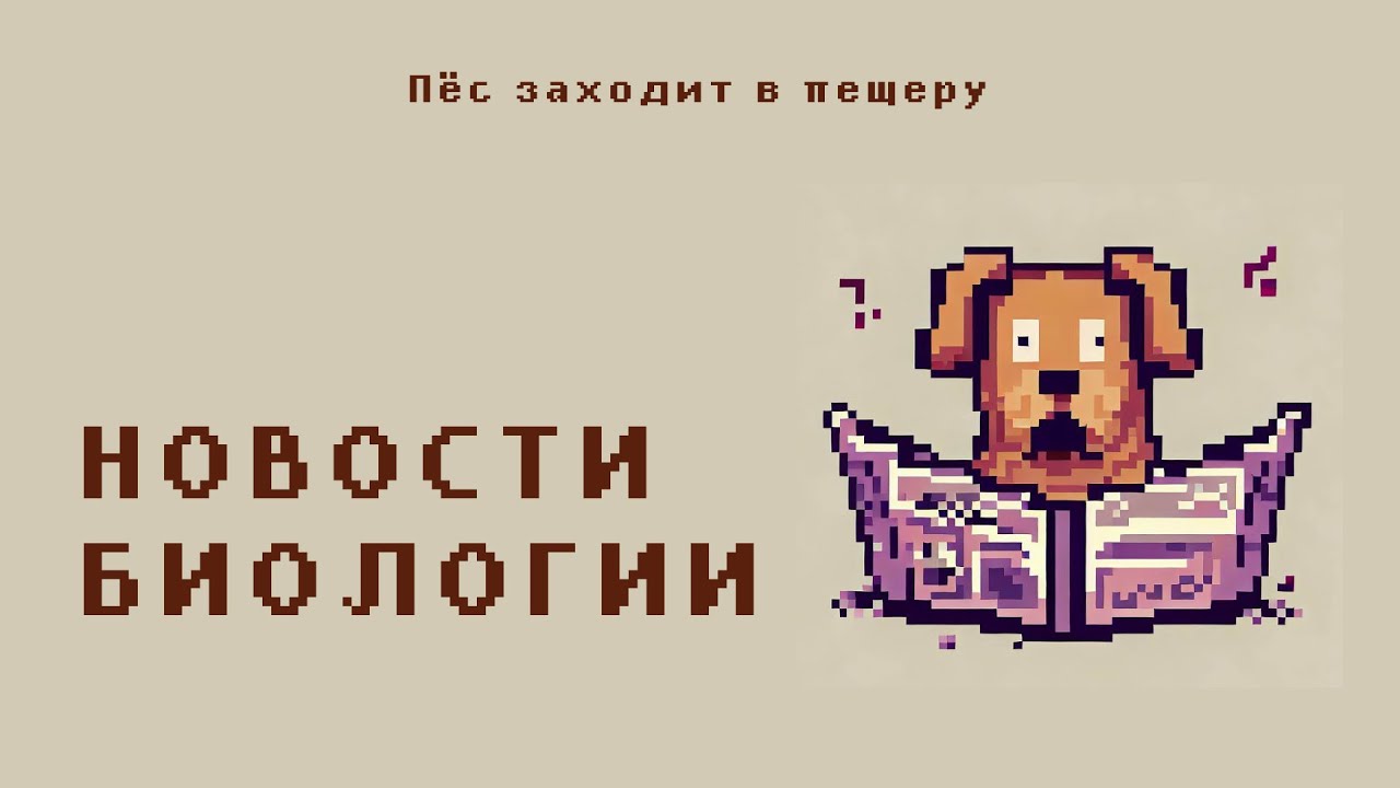 Новости биологии: Аллергии, аллергии, аллергии! Чипы, миноги и гранат ...