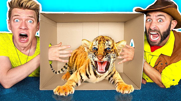 Whats in the BOX Challenge!! **LIVE ANIMALS** Gros...