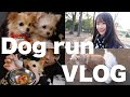愛犬とドッグラン行ってきたよ【VLOG】