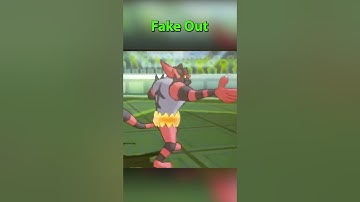 This is the best play ever made