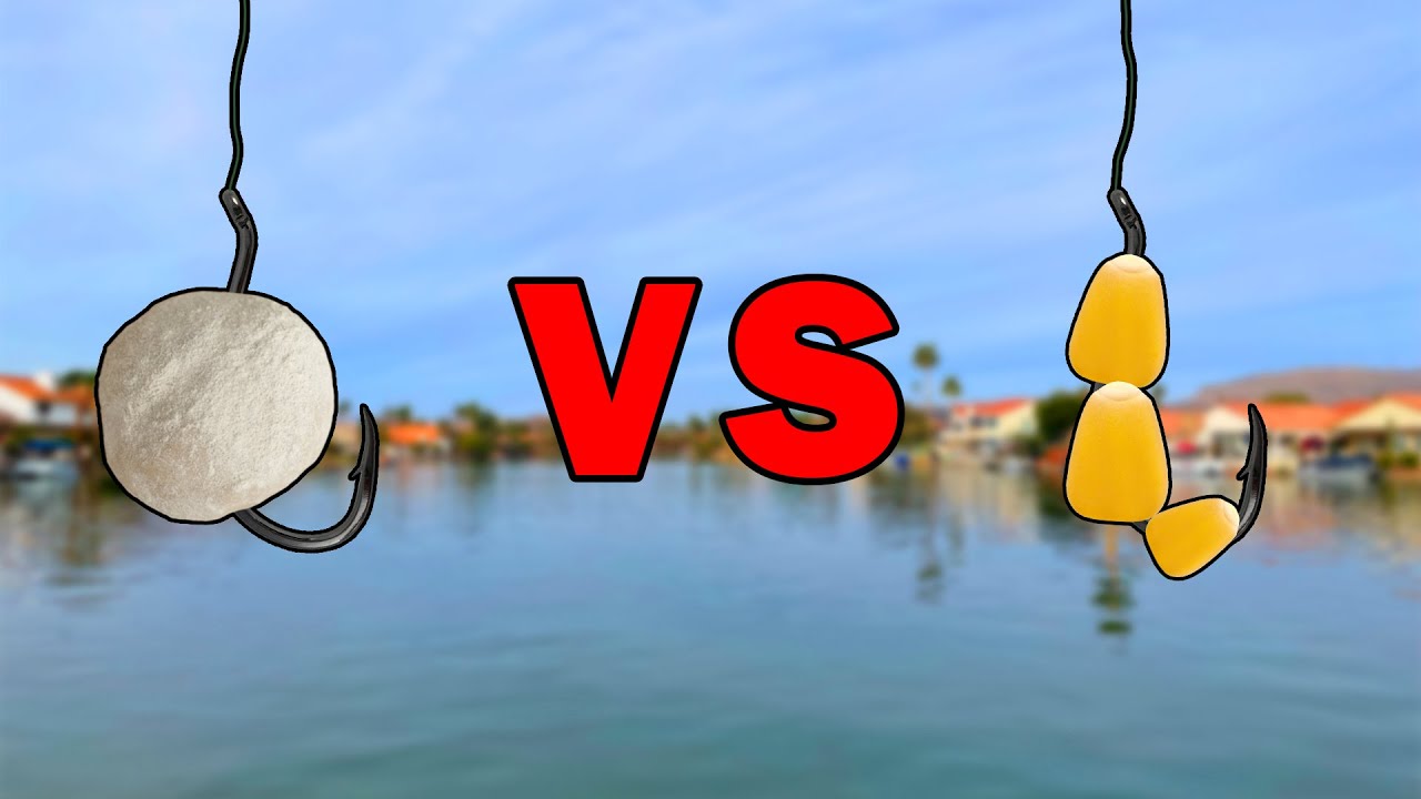 BREAD VS CORN - What Bait Catches More Fish?